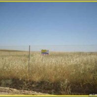 PARCELA RUSTICA DE SECANO EN DOÑA BLANCA