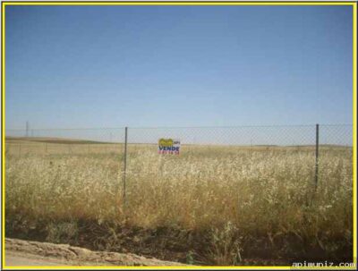 PARCELA RUSTICA DE SECANO EN DOÑA BLANCA