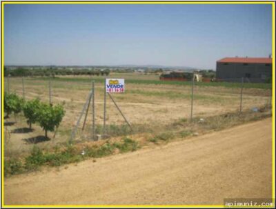 PARCELA RUSTICA DE REGADIO