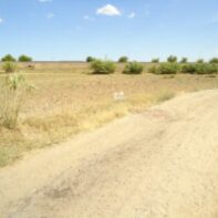 PARCELA RUSTICA EN VENTA