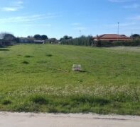 PARCELA BIEN SITUADA