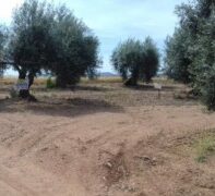PARCELA RUSTICA VENTA