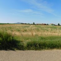 FINCA RUSTICA EN VENTA