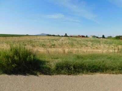 FINCA RUSTICA EN VENTA