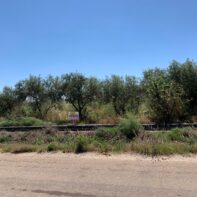 PARCELA RUSTICA EN SANTA AMALIA