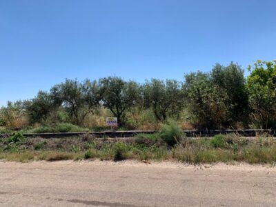 PARCELA RUSTICA EN SANTA AMALIA