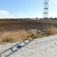PARCELA RUSTICA EN VENTA