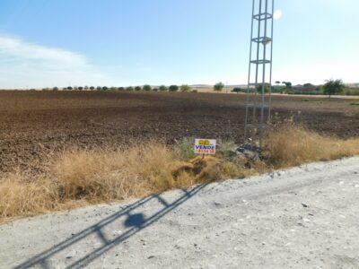 PARCELA RUSTICA EN VENTA