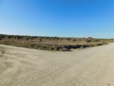 PARCELA RUSTICA EN VENTA