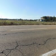 PARCELA RUSTICA A PIE DE CARRETERA