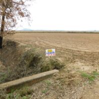 FINCA RUSTICA EN VENTA