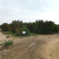 FINCA DE FRUTALES EN VENTA