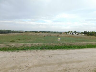 PARCELA RUSTICA DE REGADIO EN VENTA