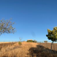 FINCA RUSTICA EN LA HABA