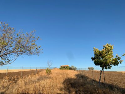 FINCA RUSTICA EN LA HABA