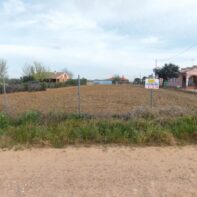 PARCELA RUSTICA CON EL ENGANCHE DE LUZ