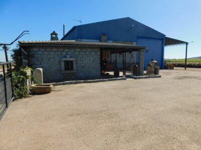 FINCA RUSTICA CON CASA RURAL Y NAVE AGRICOLA