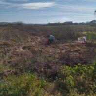 PARCELA RUSTICA DE REGADIO EN VILLANUEVA DE LA SERENA