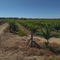 FINCA RUSTICA EN CAMPOLUGAR