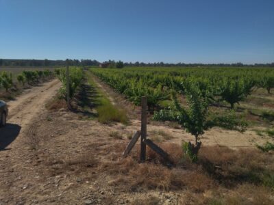 FINCA RUSTICA EN CAMPOLUGAR