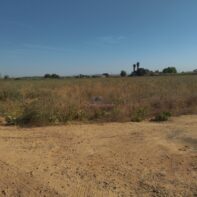 FINCA RUSTICA DE REGADIO BIEN SITUADA