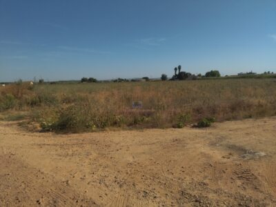 FINCA RUSTICA DE REGADIO BIEN SITUADA