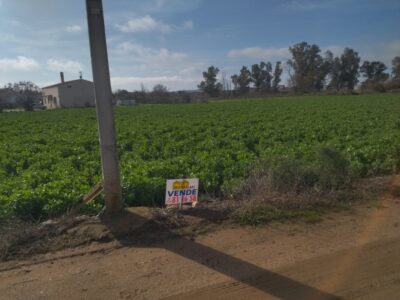 FINCA RUSTICA EN MENGABRIL