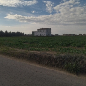 FINCA RUSTICA CON CASA EN VENTA