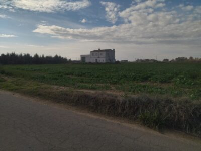 FINCA RUSTICA CON CASA EN VENTA