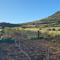 PARCELA RUSTICA EN MAGACELA