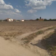 FINCA RUSTICA CON EXCELENTE SITUACION