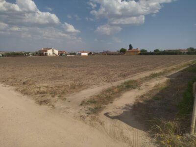 FINCA RUSTICA CON EXCELENTE SITUACION